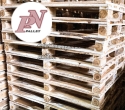 Khám phá các loại gỗ thông dụng để làm pallet gỗ
