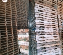 Thị trường pallet gỗ thông Việt Nam năm 2023