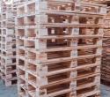Xu hướng sử dụng pallet gỗ tràm năm 2023