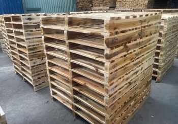 Mua Pallet Gỗ Tại Thủ Dầu Một Bình Dương: Chất Lượng, Giá Xưởng