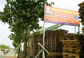 Tìm đâu địa chỉ chuyên cung cấp pallet Bình Dương uy tín?