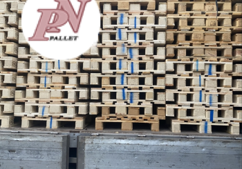 Bảo quản và xử lý mối mọt cho Pallet gỗ: Những điều cần biết!