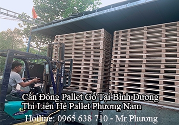 Cần Đóng Pallet Gỗ Tại Bình Dương Thì Liên Hệ Đơn Vị Nào Uy Tín?