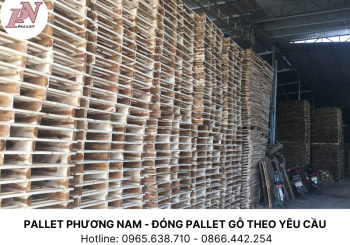 Mua gỗ thông pallet giá rẻ - Đảm bảo chất lượng và hiệu quả