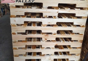 Địa chỉ mua pallet gỗ HCM chắc chắn, chất lượng cao