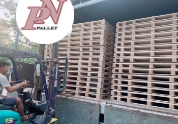 Lưu ý quan trọng khi vẫn chuyển pallet gỗ an toàn