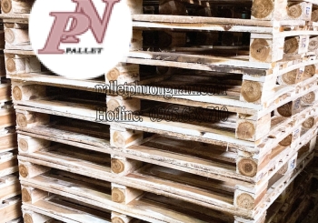 Khám phá các loại gỗ thông dụng để làm pallet gỗ