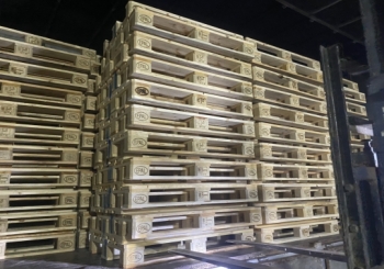 Tìm hiểu về thị trường pallet gỗ cũ: Xu hướng và cơ hội mới