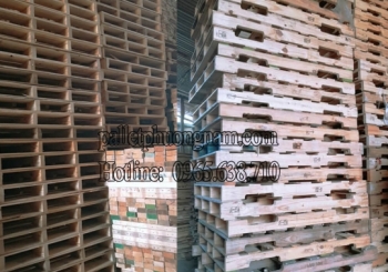 Thị trường pallet gỗ thông Việt Nam năm 2023