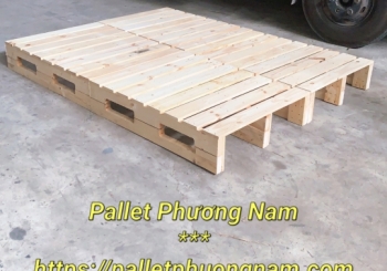 Nhà cung cấp pallet gỗ tràm uy tín và đa dạng