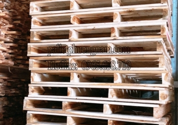 Đối tác tin cậy cho nhu cầu pallet Tân An chất lượng cao