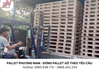 Cung cấp pallet Tây Ninh chất lượng: Tăng cường hiệu suất và bảo vệ hàng hóa của bạn