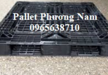 Mua pallet Trảng Bàng chất lượng với giá cả hợp lý