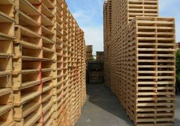 Sử dụng pallet gỗ an toàn và hiệu quả trong kho lạnh