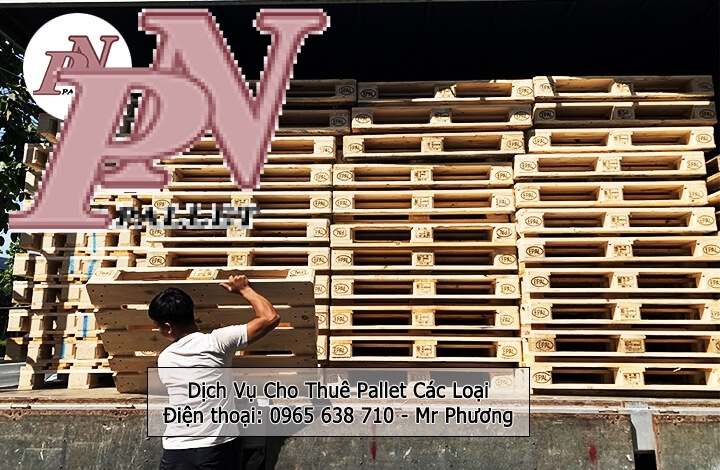 pallet gỗ tràm