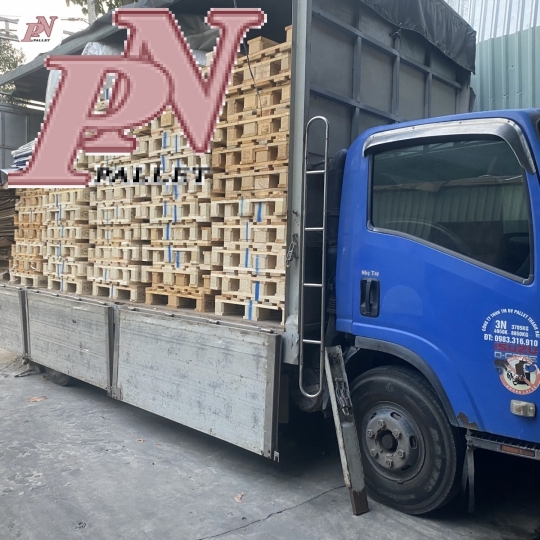 cung cấp pallet gỗ  Tây Ninh